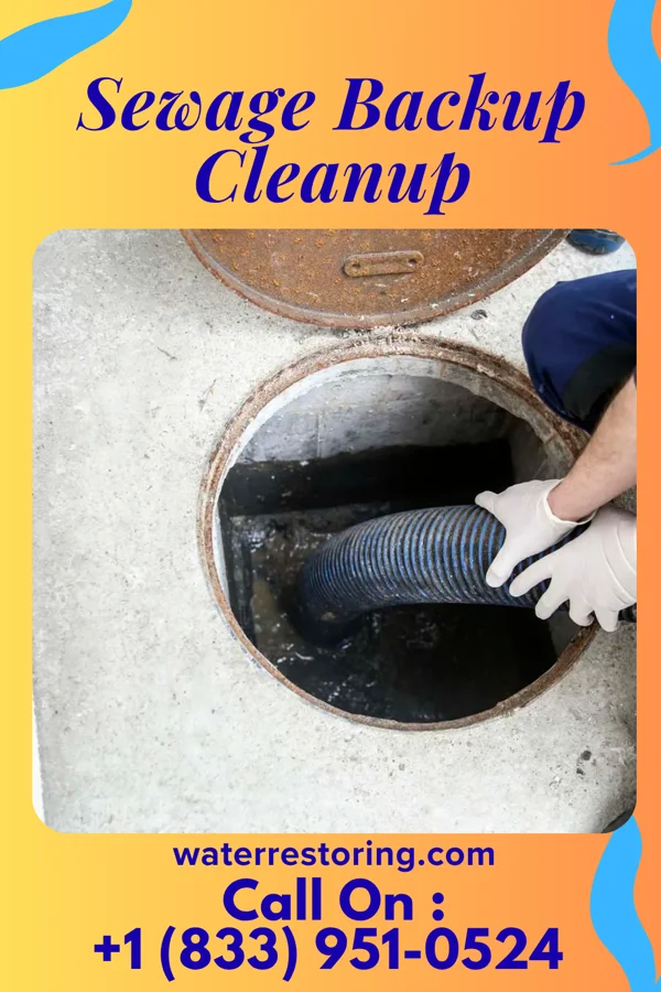 Sewage Backup Cleanup in Beattyville, KY
