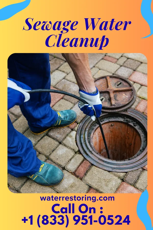 Sewage Water Cleanup in Beattyville, KY